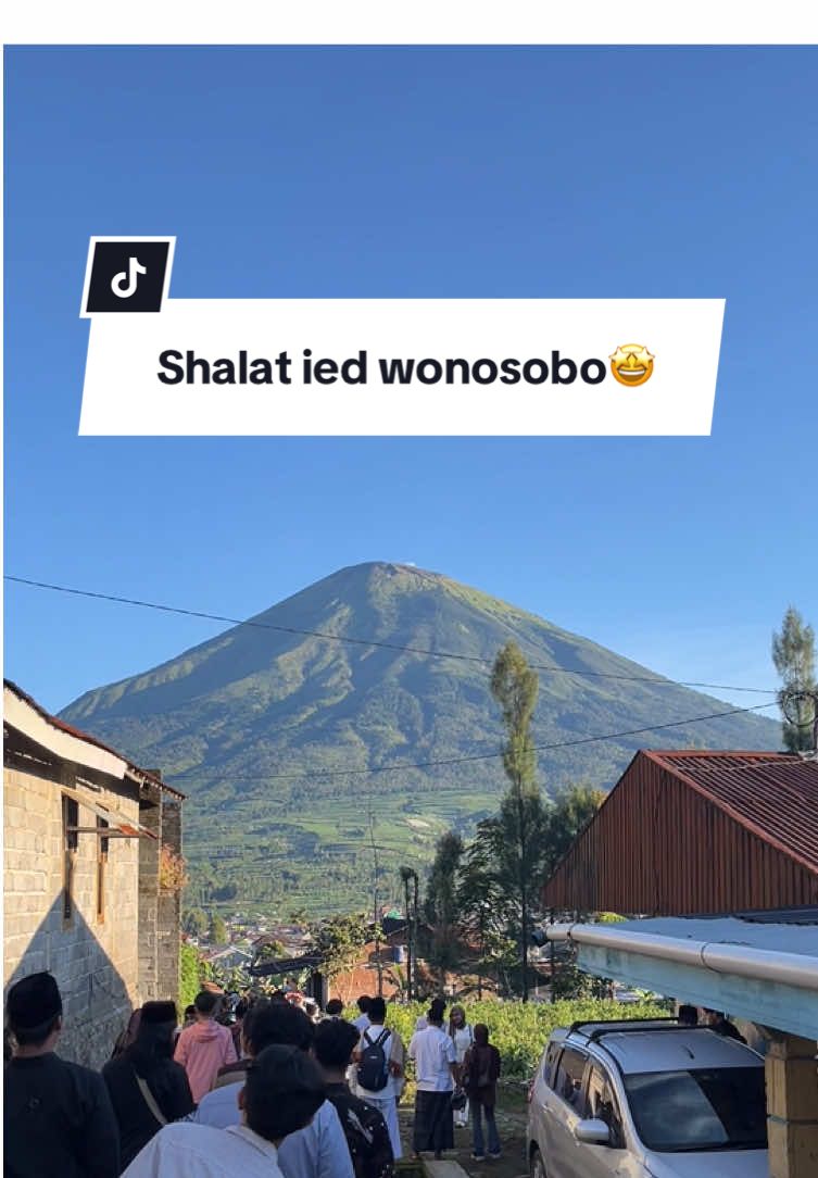 @siebontot
