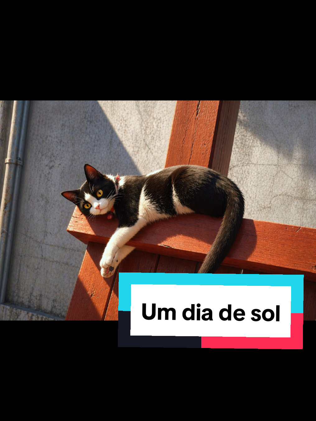 @Kyuubi e Dory no Comando 🐾