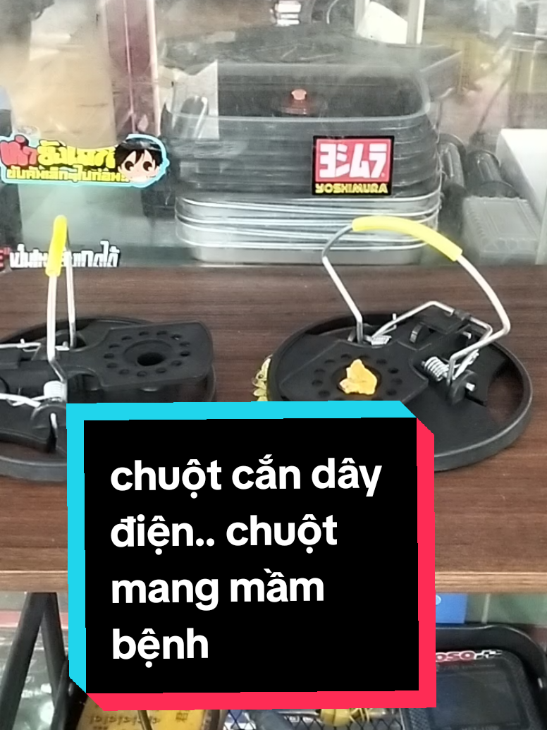 @sửa xe ho&agrave;ng học racing