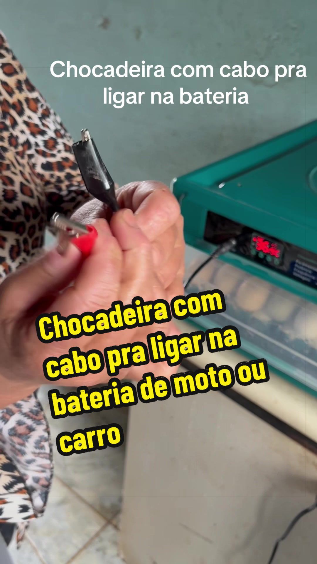 @Silvana Franco /vida na roça