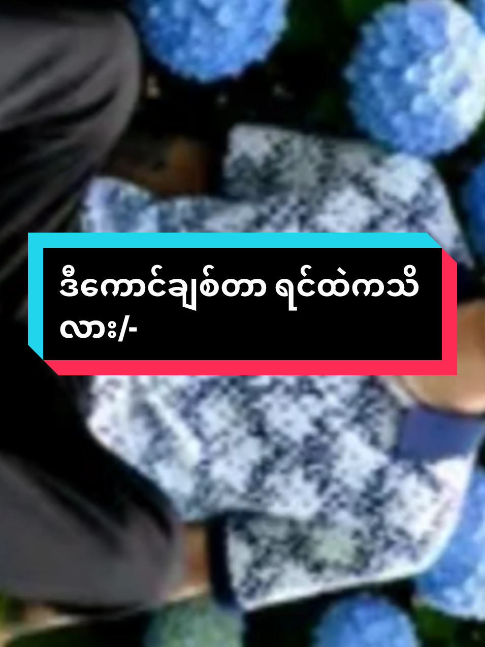 @๐ฟ๐๐๐๐ ๐ฟ๐๐๐๐ ๐พ๐๐