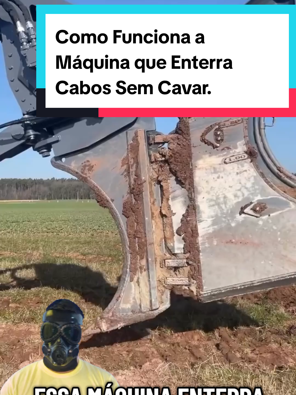 @Mundo da Curiosidades