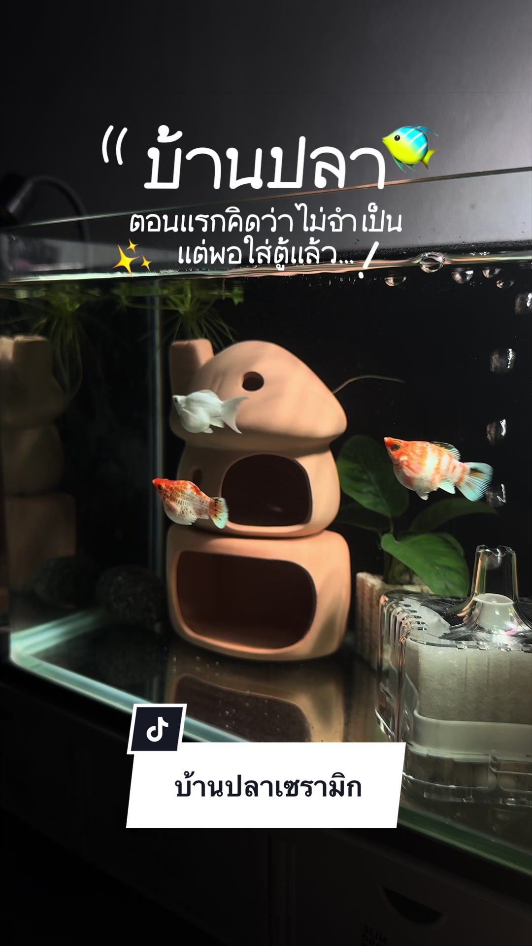 @Pink วรัญ ꒰ &ldquo;̮ ꒱
