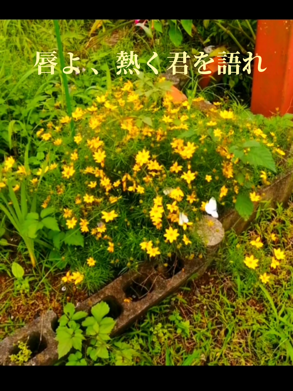 @ナツロキ🎶音楽と⛰️風景と😃😃一緒に