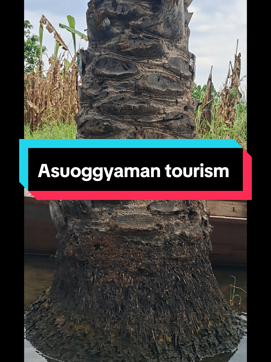 @Akosombo Dam CityEntertainment