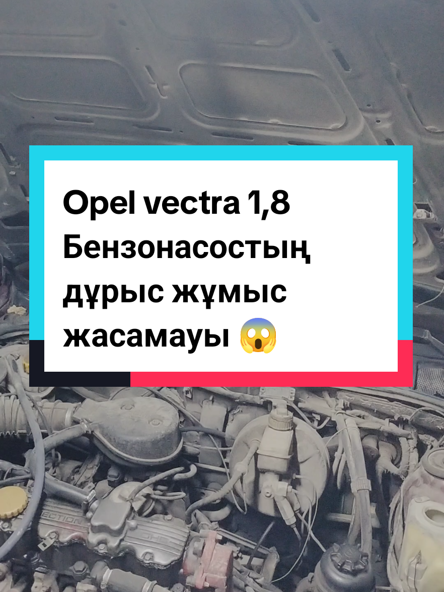 @Turkestan Авто ЭЛЕКТРИК ⚡🪛🛠?