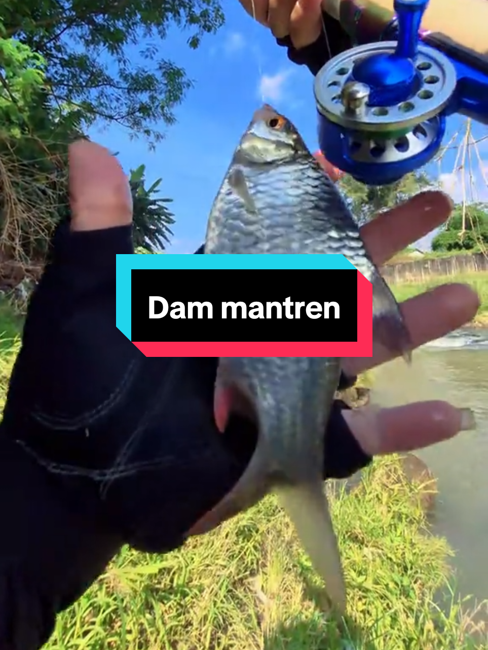 @Mr. Angler