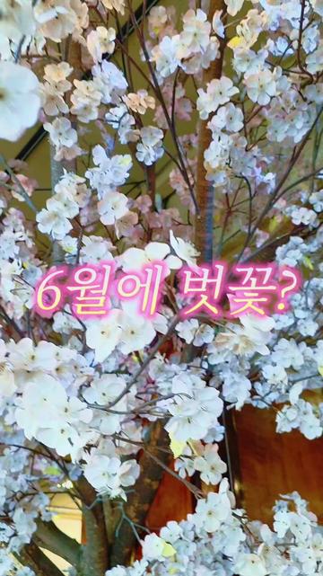 @태권히어로