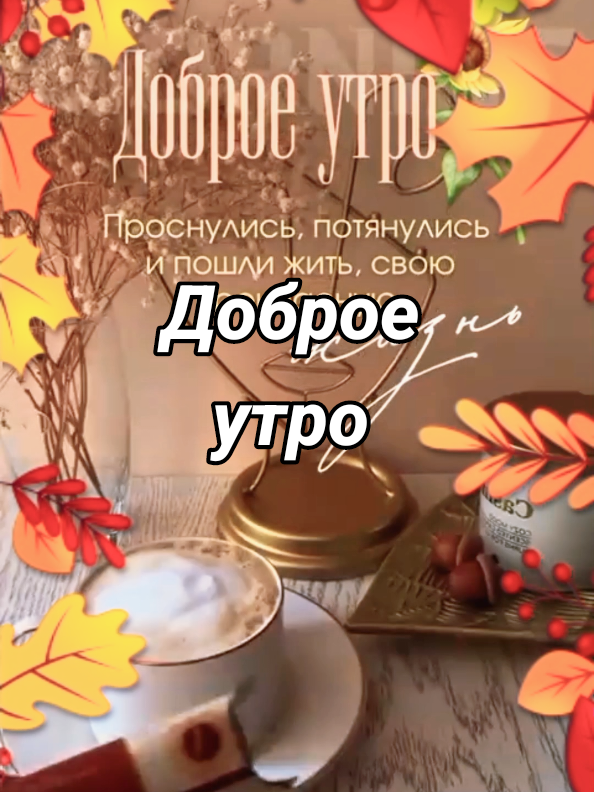 @Деревенская бабушка