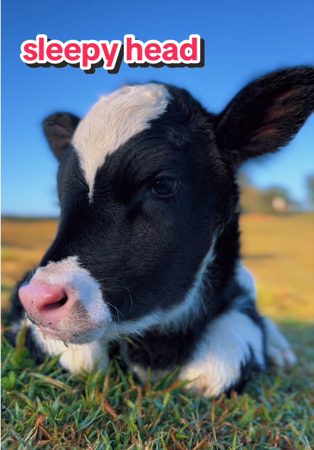@Big Farmer Andy