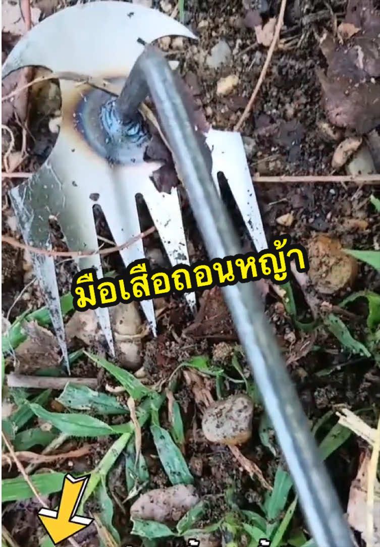 @แม่ปุ๊🦿มารีวิว