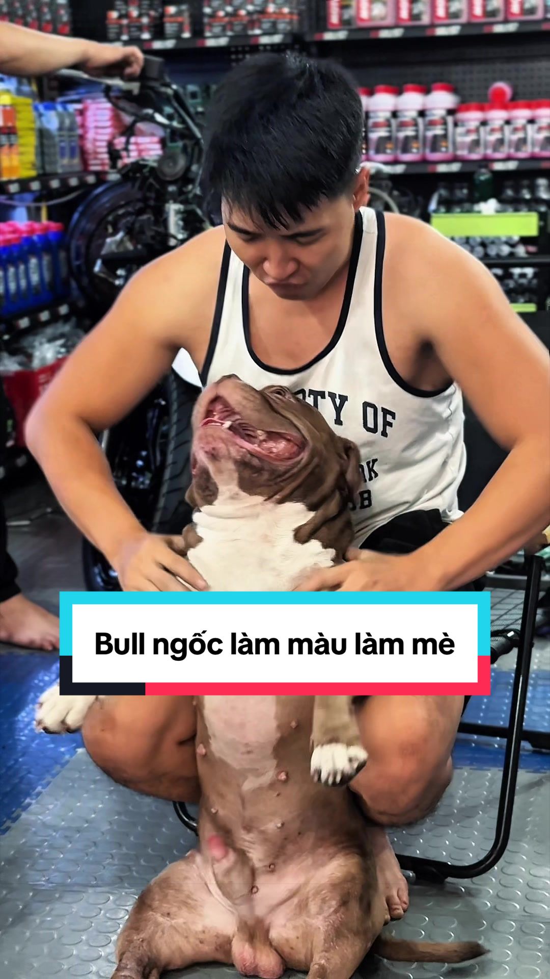 @Dương Nguyễn