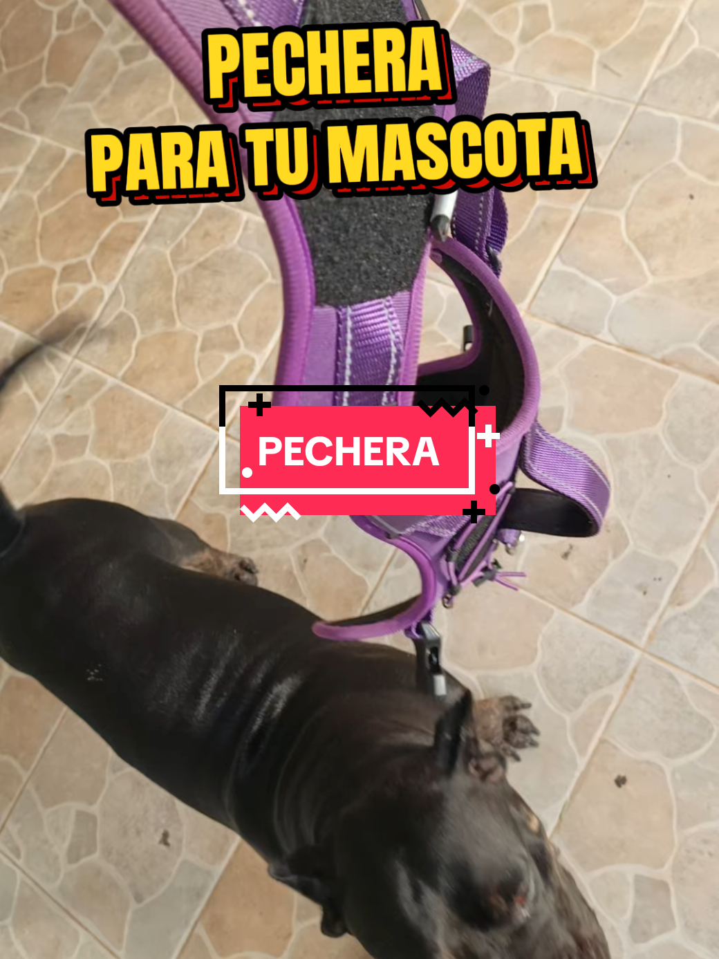 @Mario TBadillo