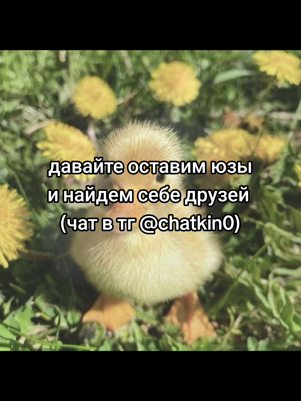 @cqtagger
