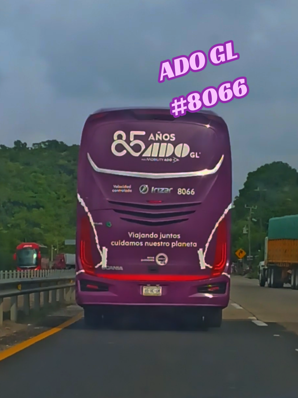 @Busologia Veracruzana 🍀🚍