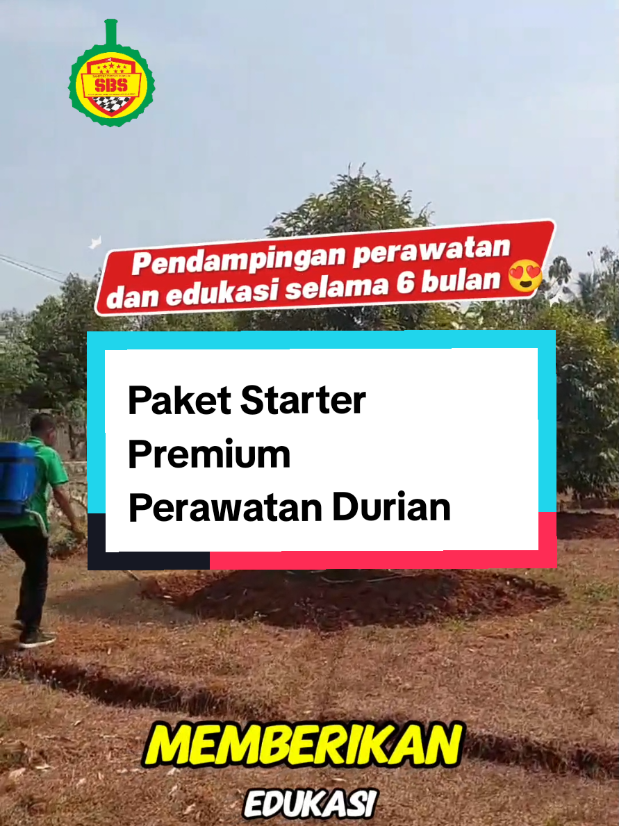 @Produksi Buah_SBS