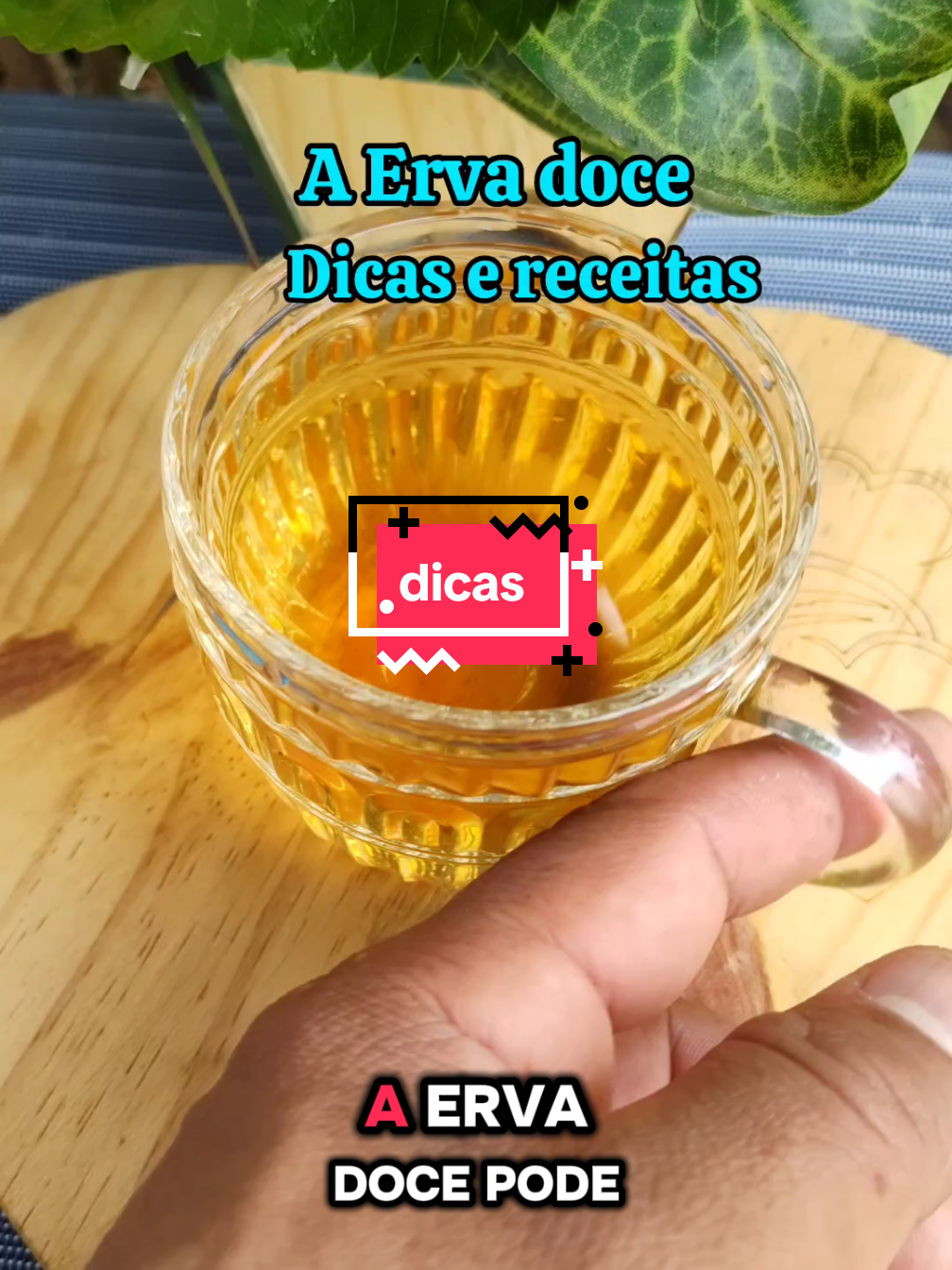 @natureza e saúde