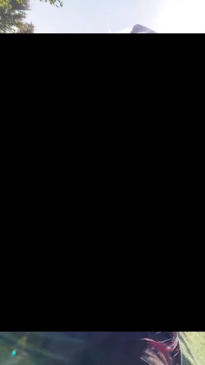 @ ʜ ꜱᴀꜰɪ