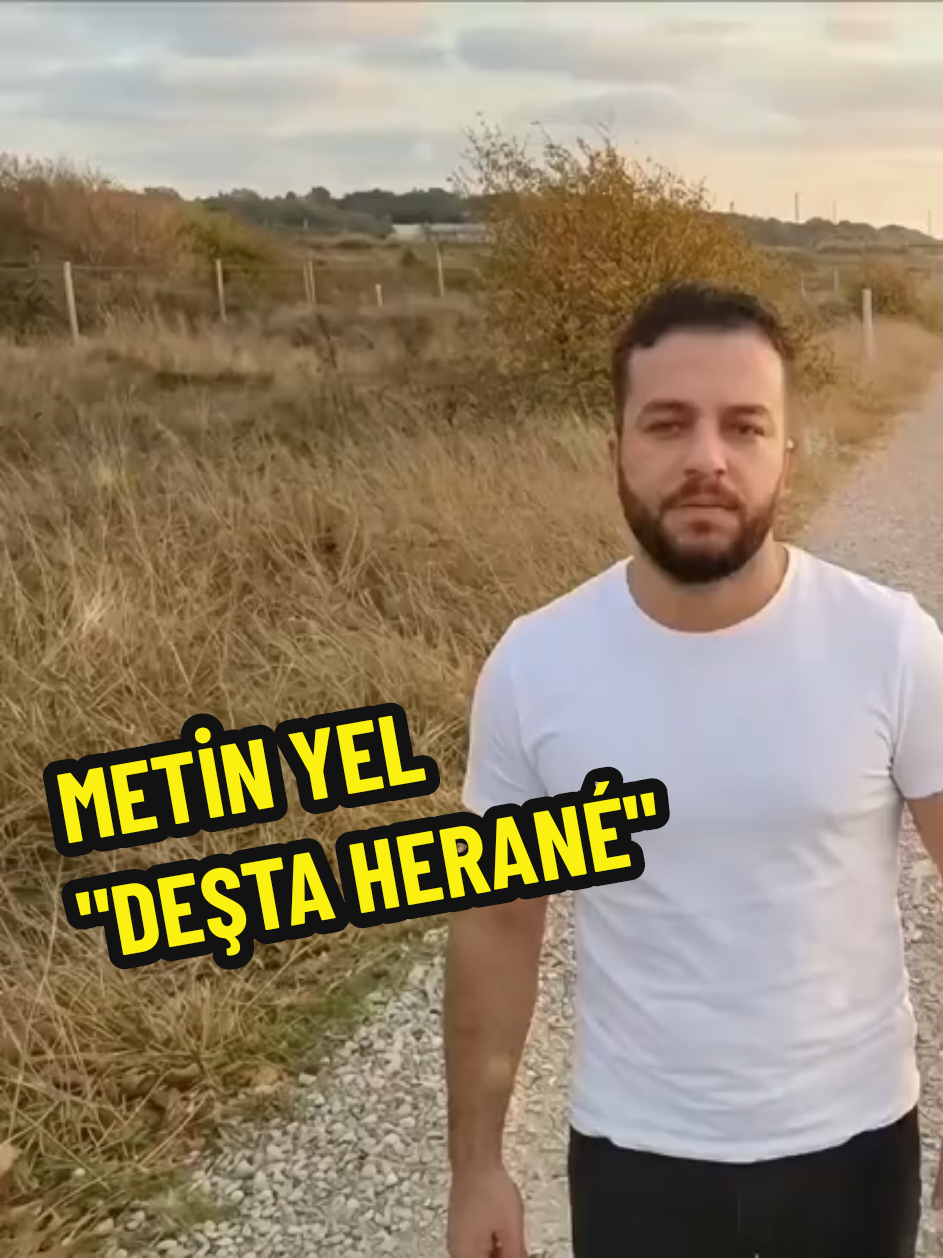 @METİN YEL