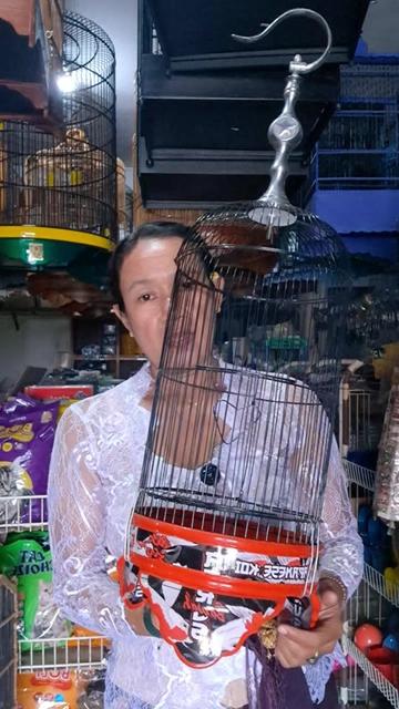 @bukogix
