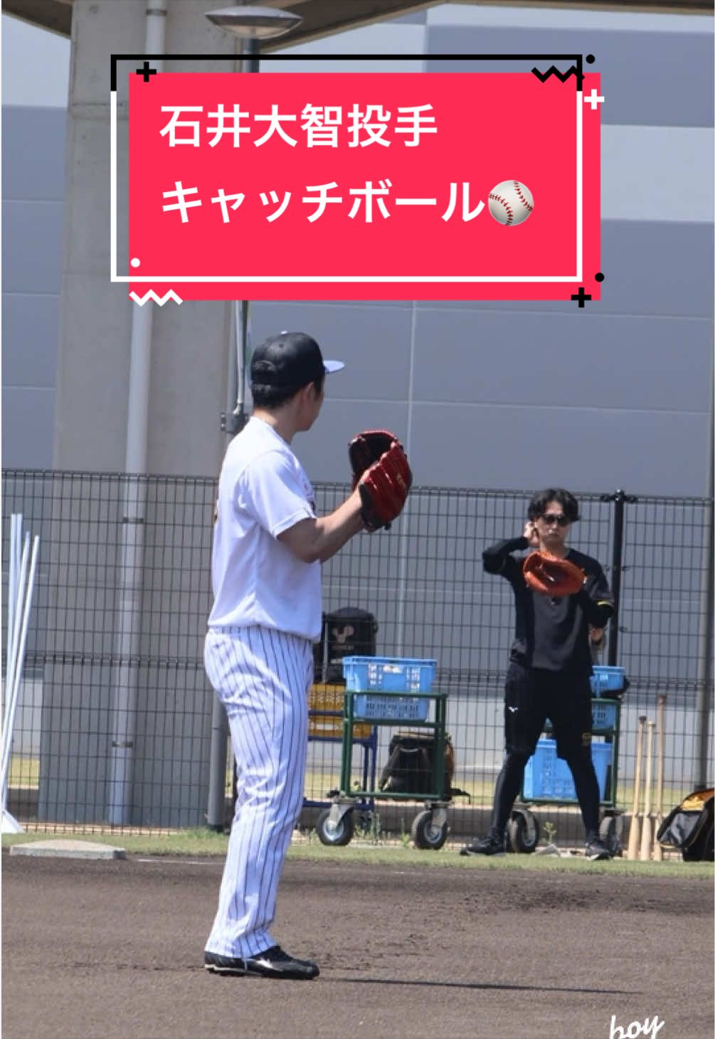 @Camera_boy📸🐯