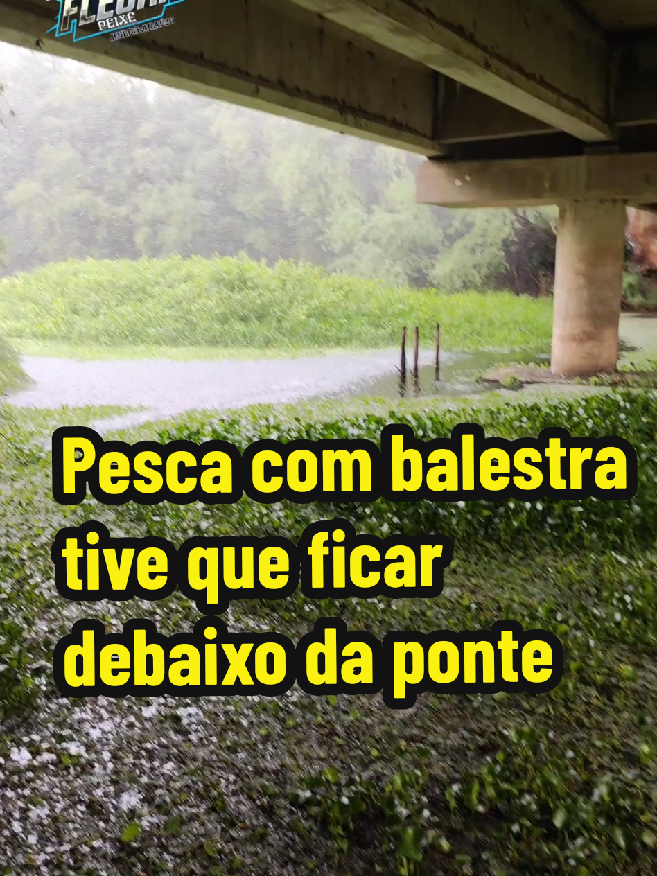 @Joildo Araujo