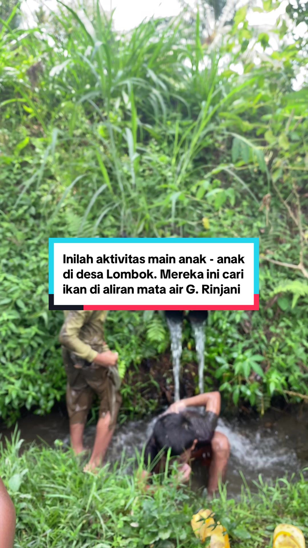 @Jangankelombok