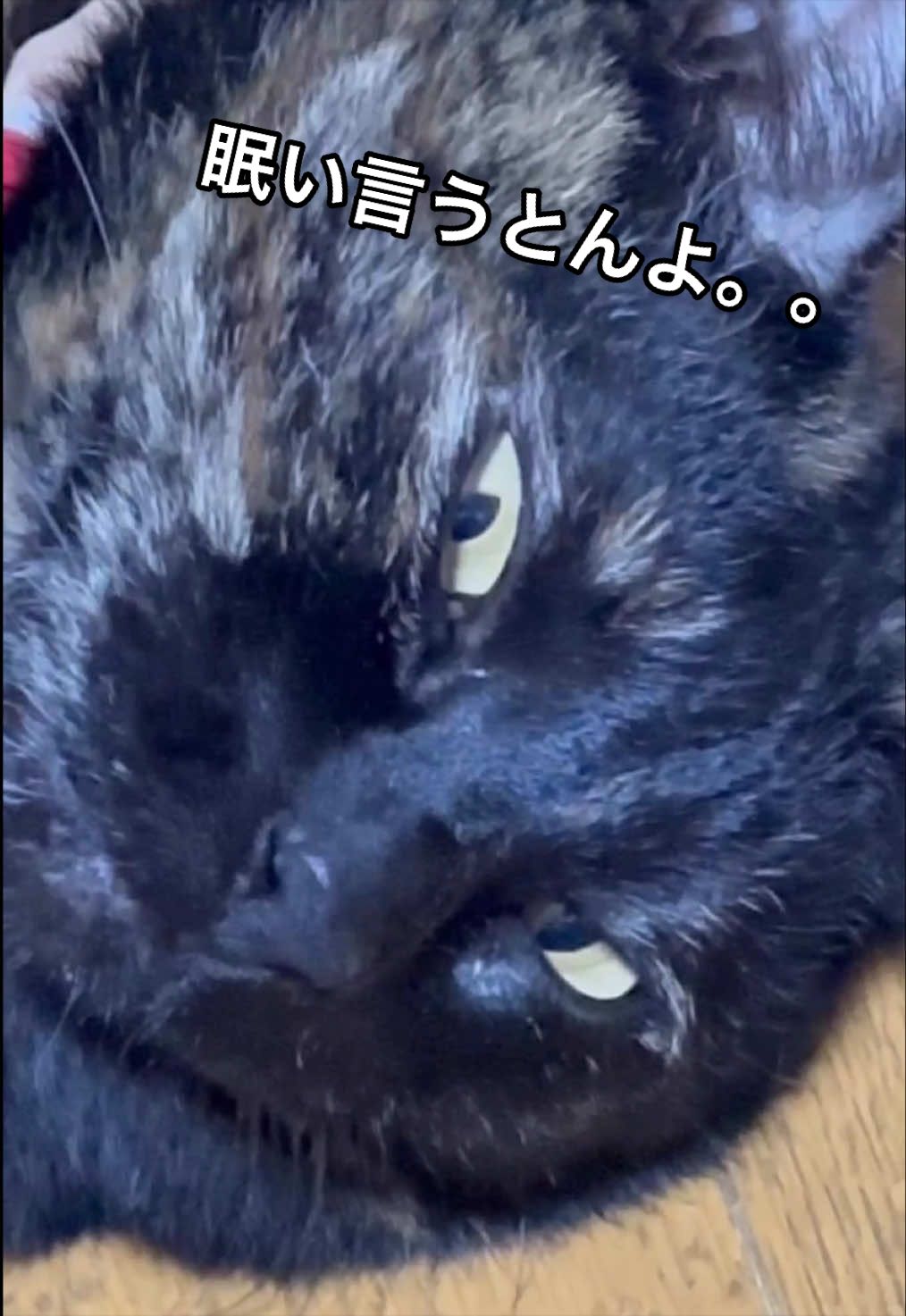 @聴々物語PROJECT
