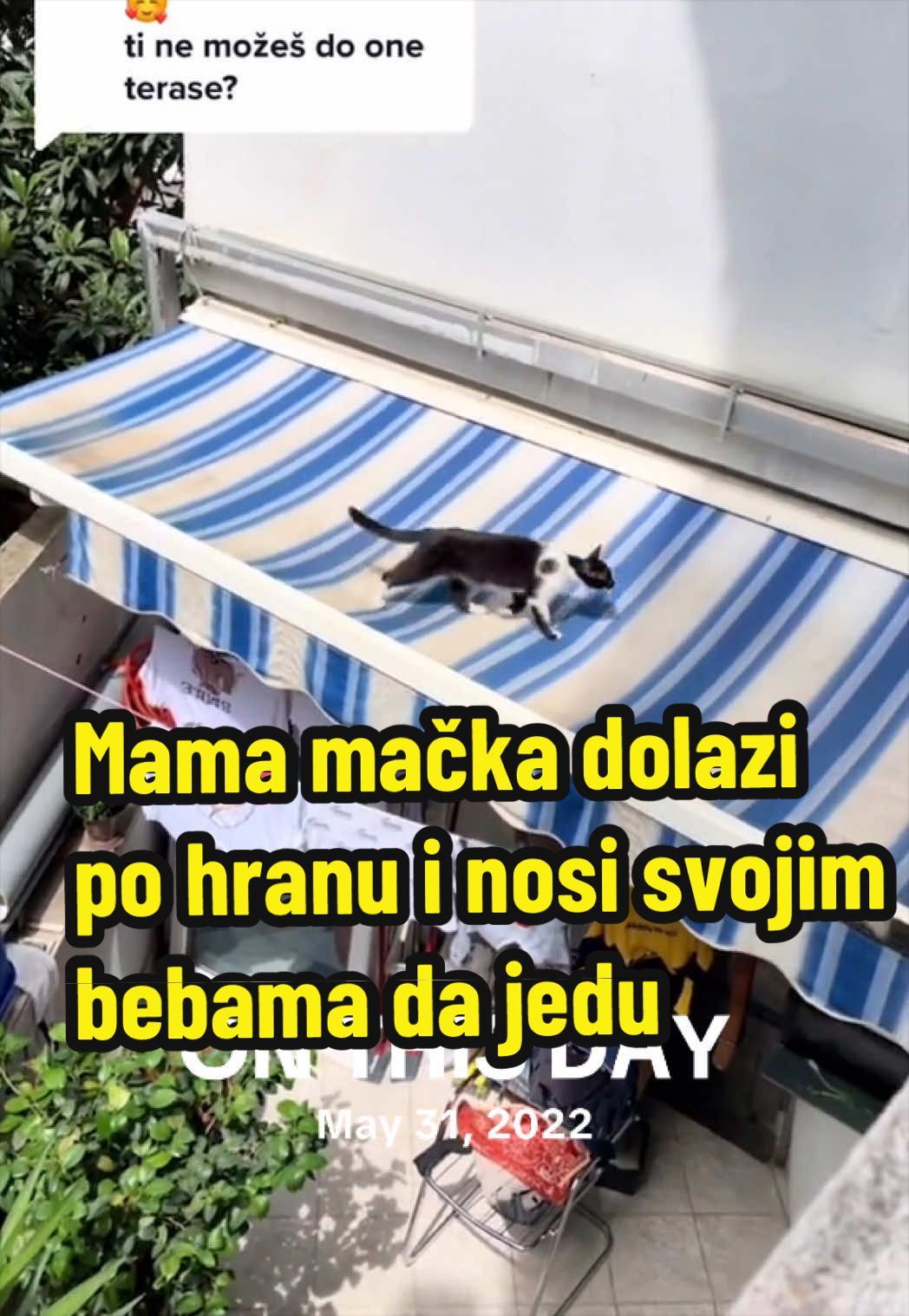 @Maja Kovijanic