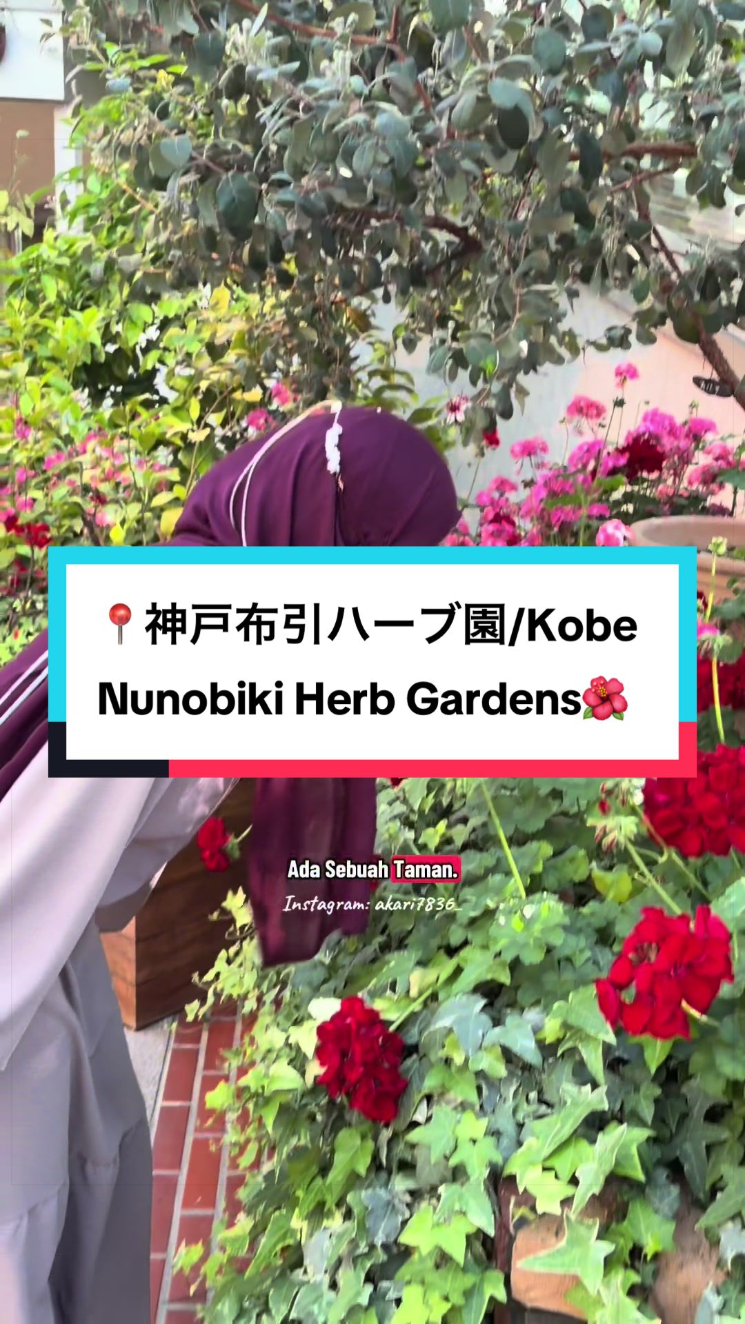 @Akari🧕🇯🇵&times;🇯🇵