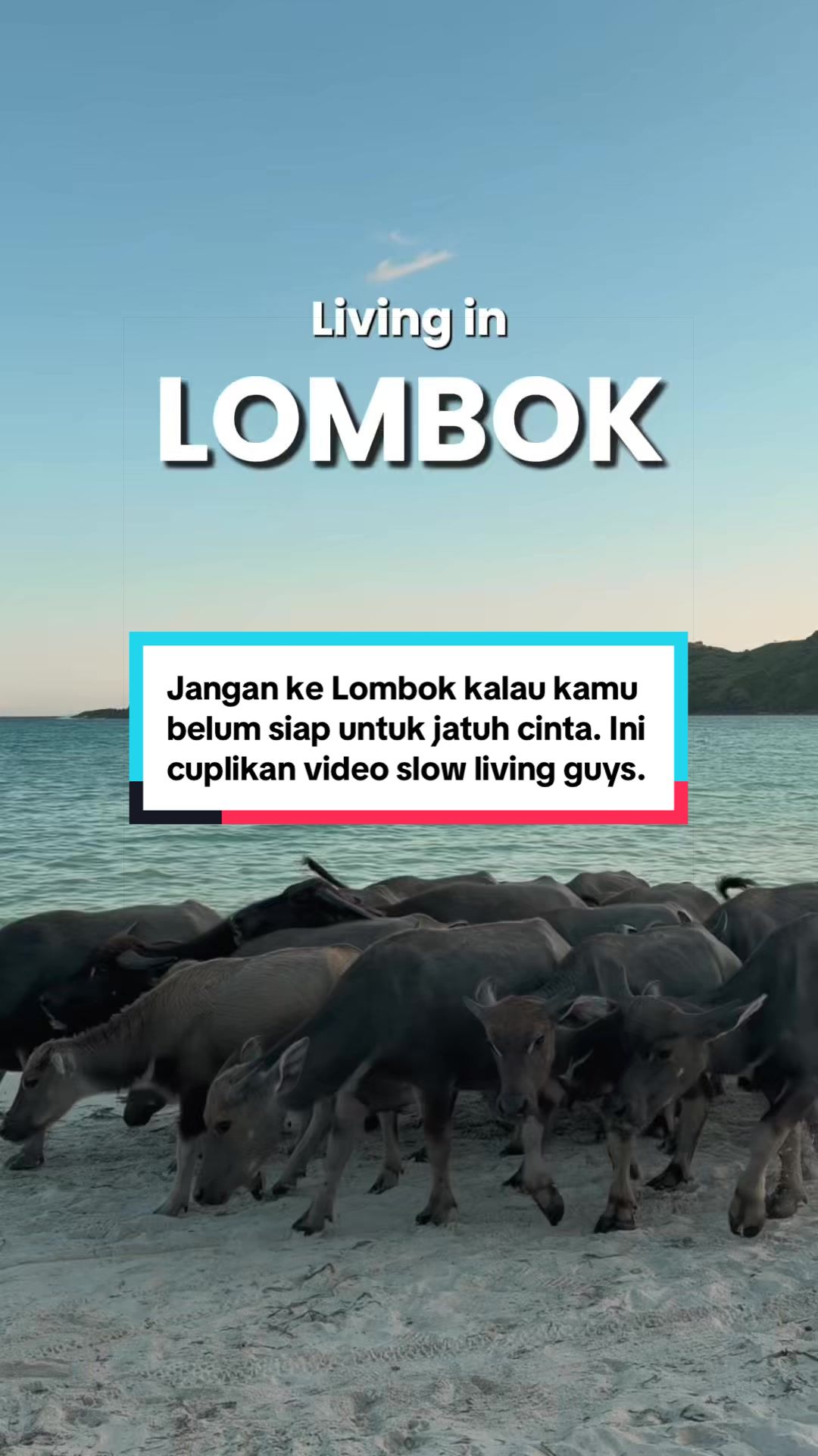 @Jangankelombok