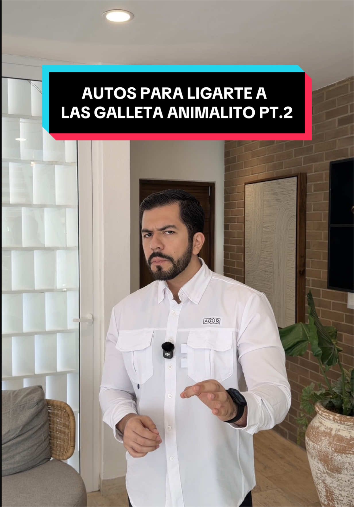 @AdrianCarLover