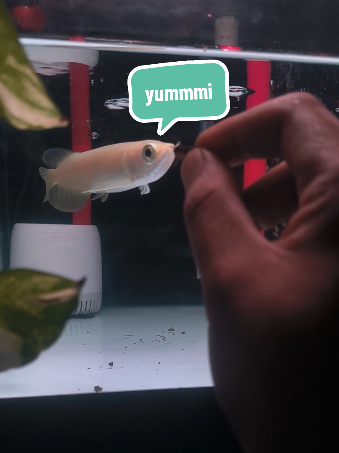 @Punya Namita