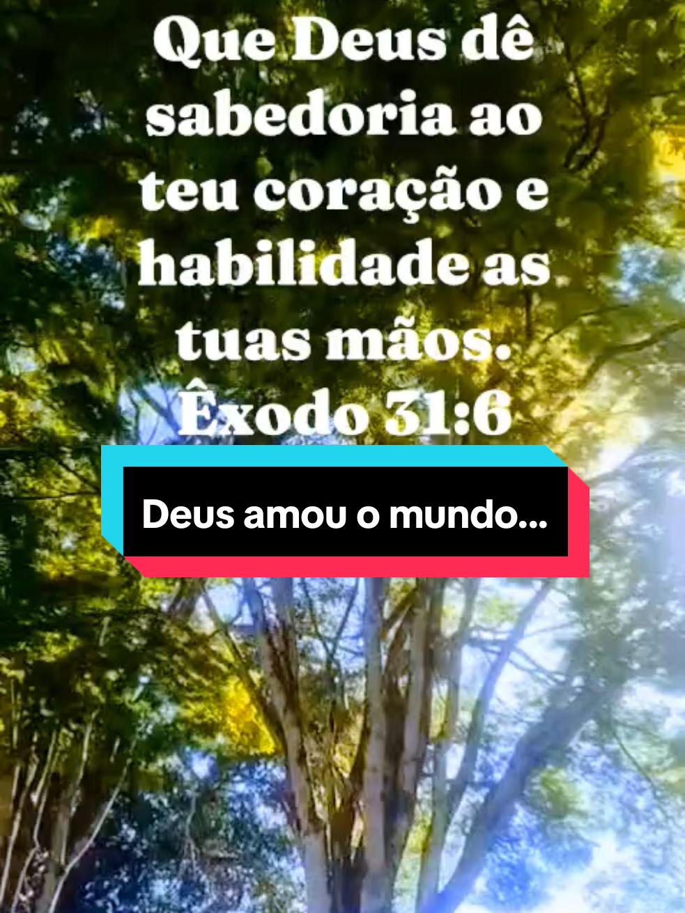 @Maria Paiva paiva