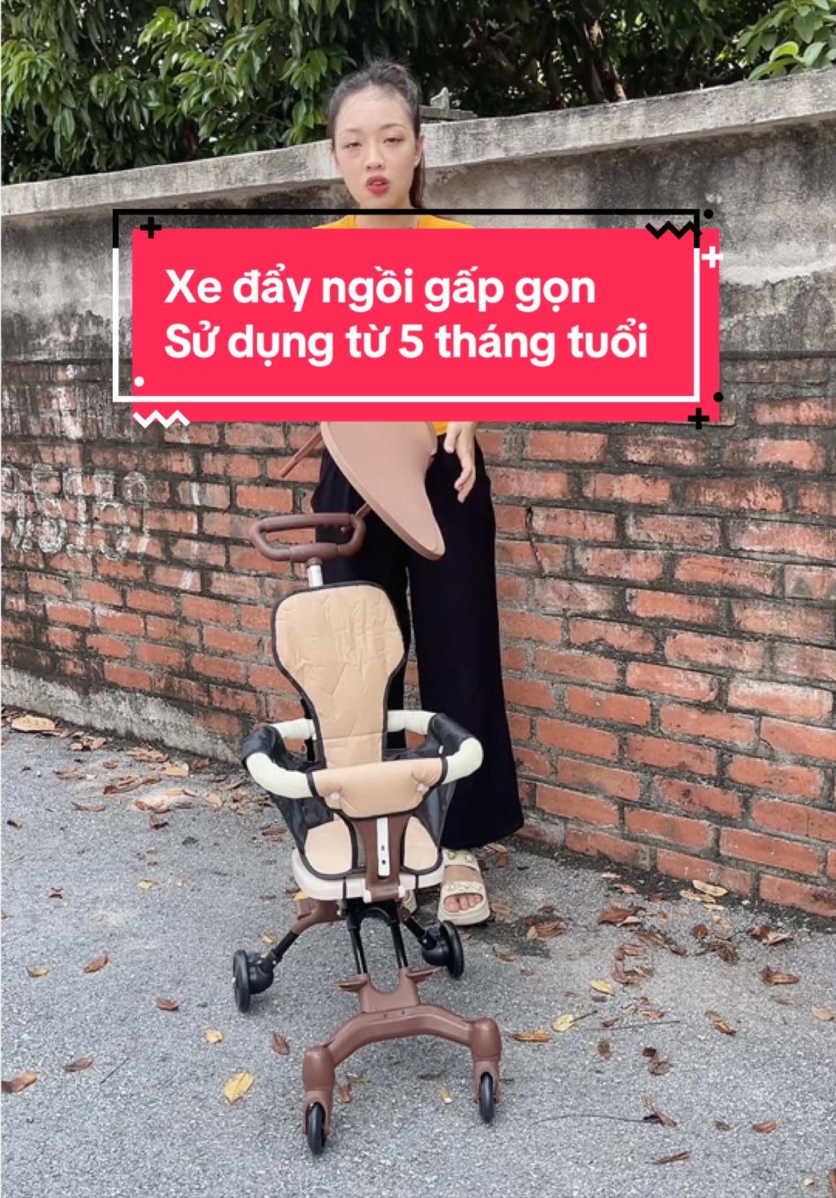 @Ho&agrave; Đỗ Xe Đẩy