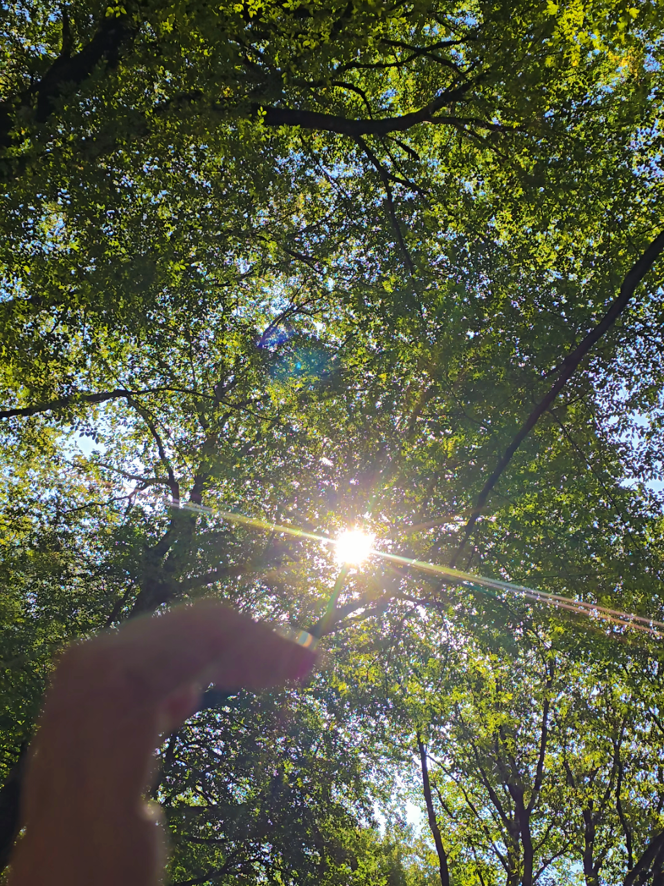 @🐾 Дикая Амазонка👣