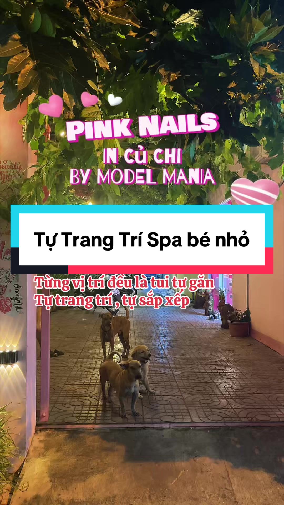@AndyTrần có cái SPA 🏝️ 🤓 ☘️