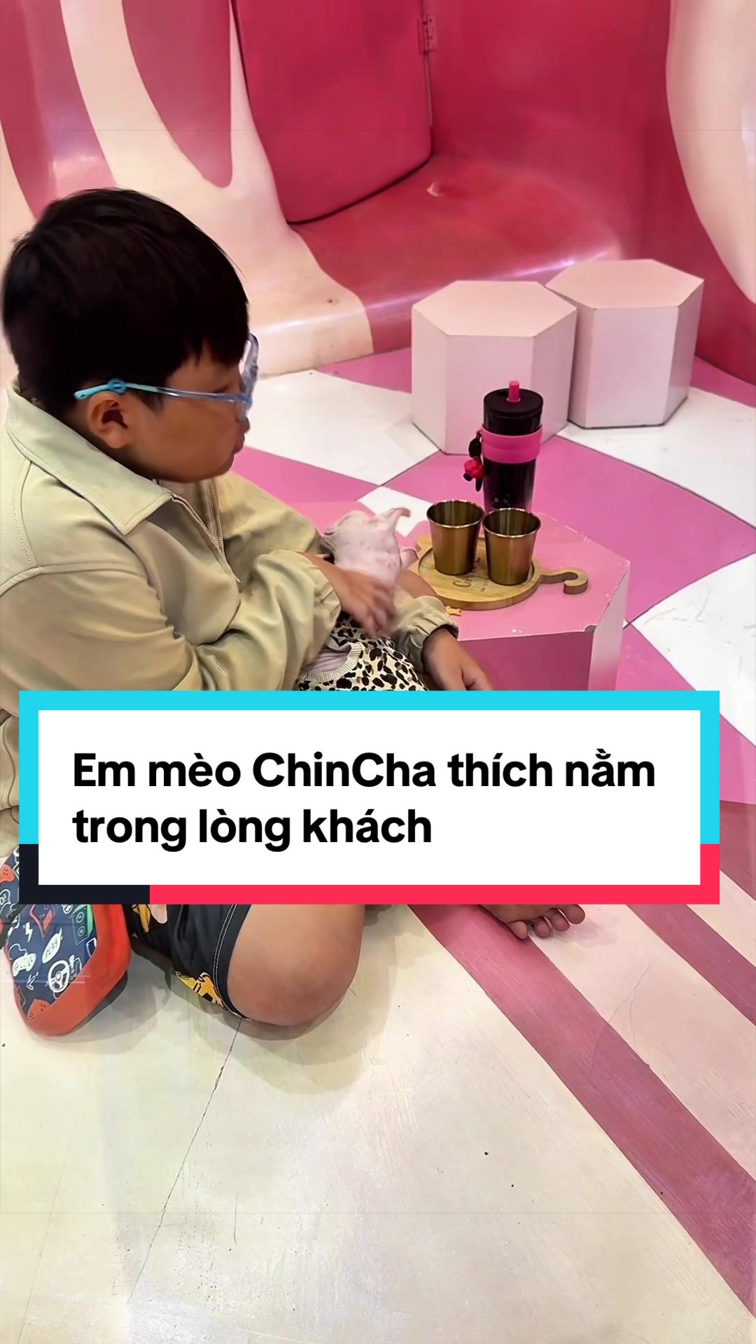 @Catfe 🐱