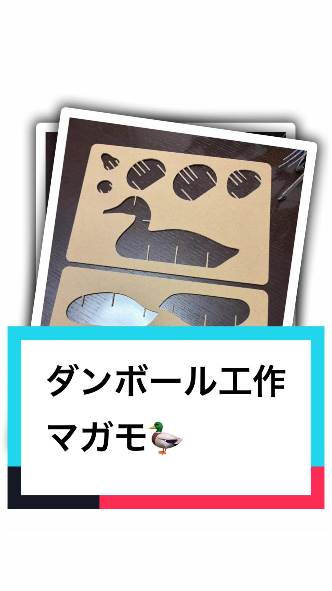 @ダンボール王子🌏♾️🐦&zwj;🔥
