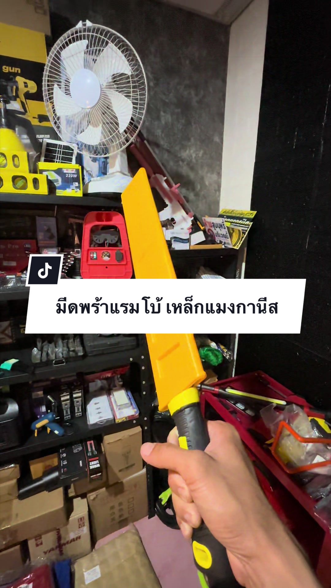 @อาเฮียหลี อาหลีเฮีย