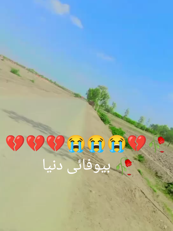 @Rashid ali laghari ❤️❤️❤️💔💔
