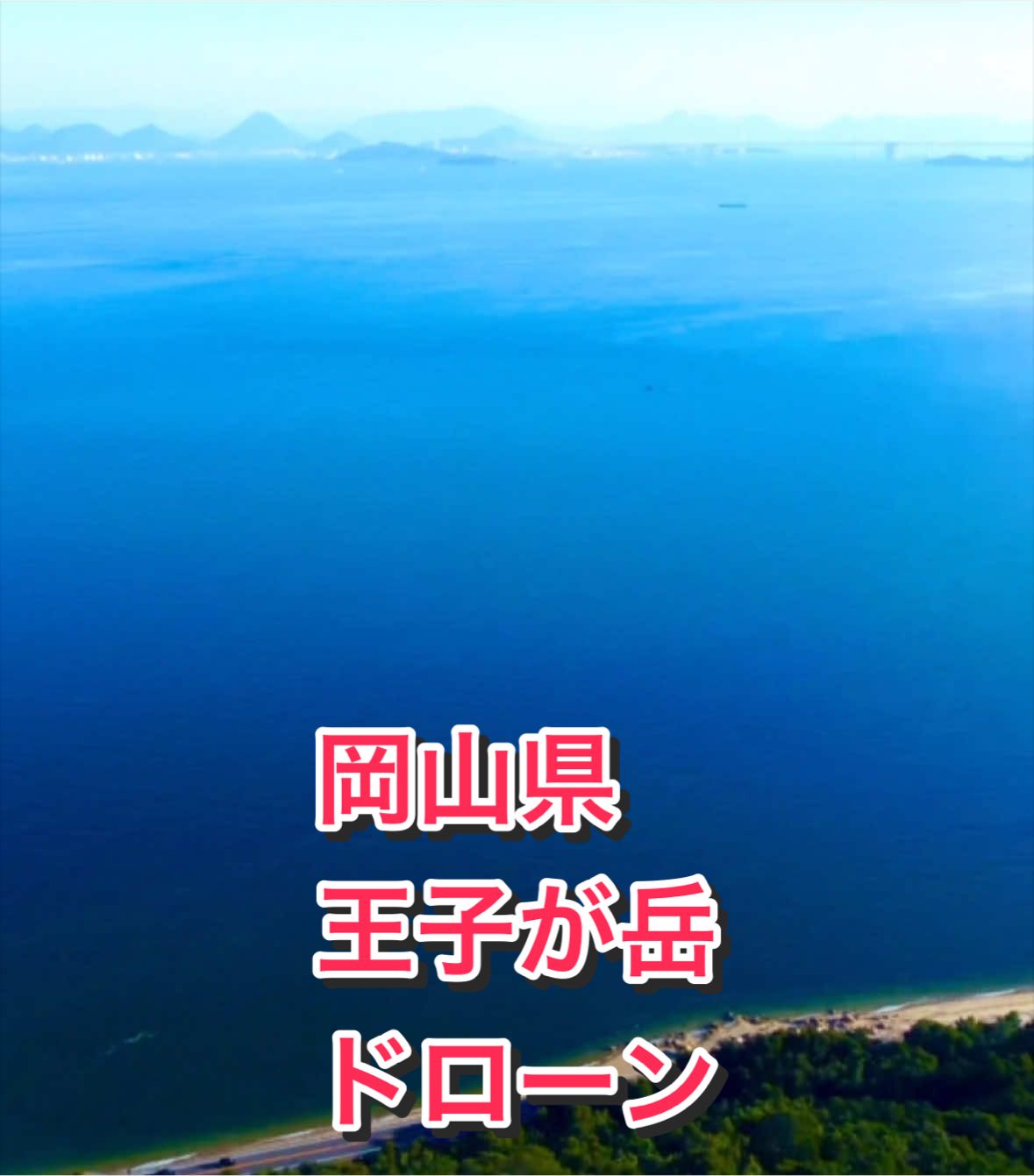 @音丸ぽん🇯🇵