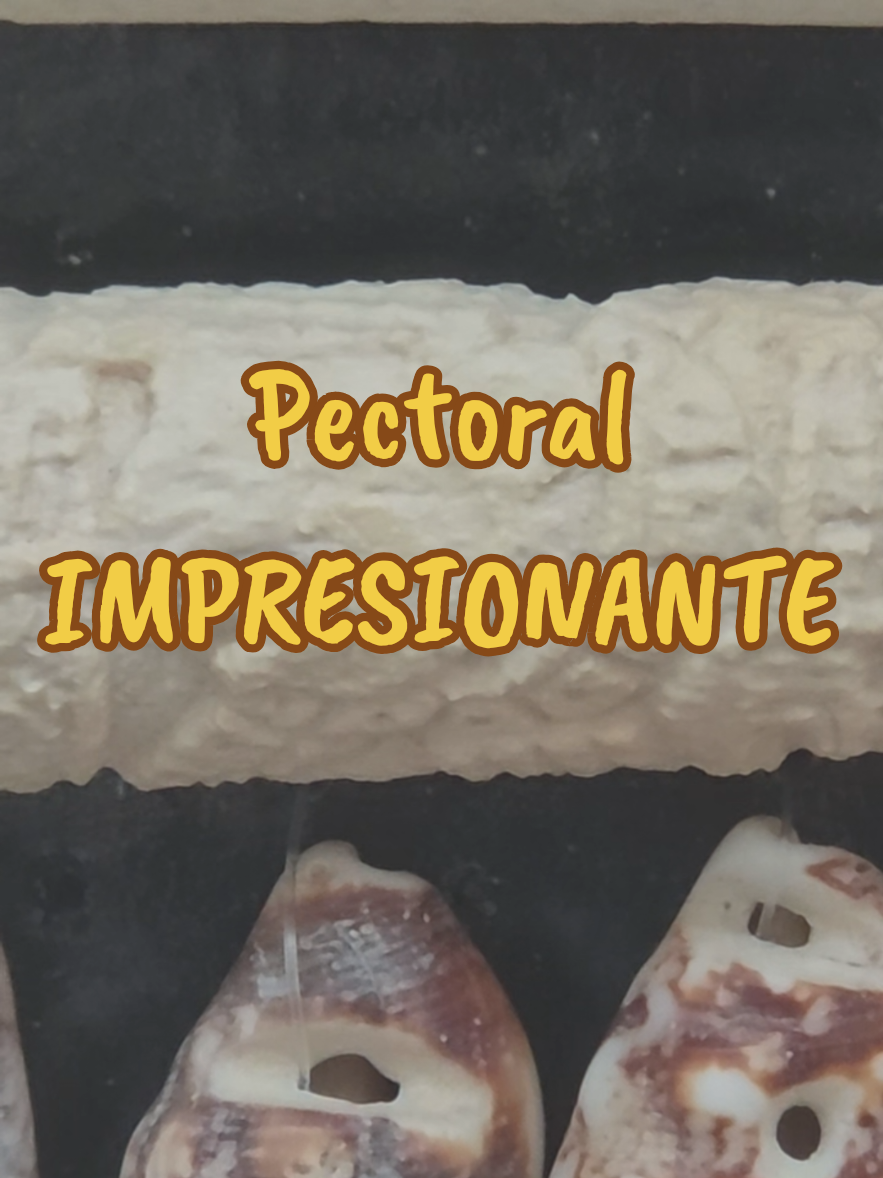 @Guías de Yucatán