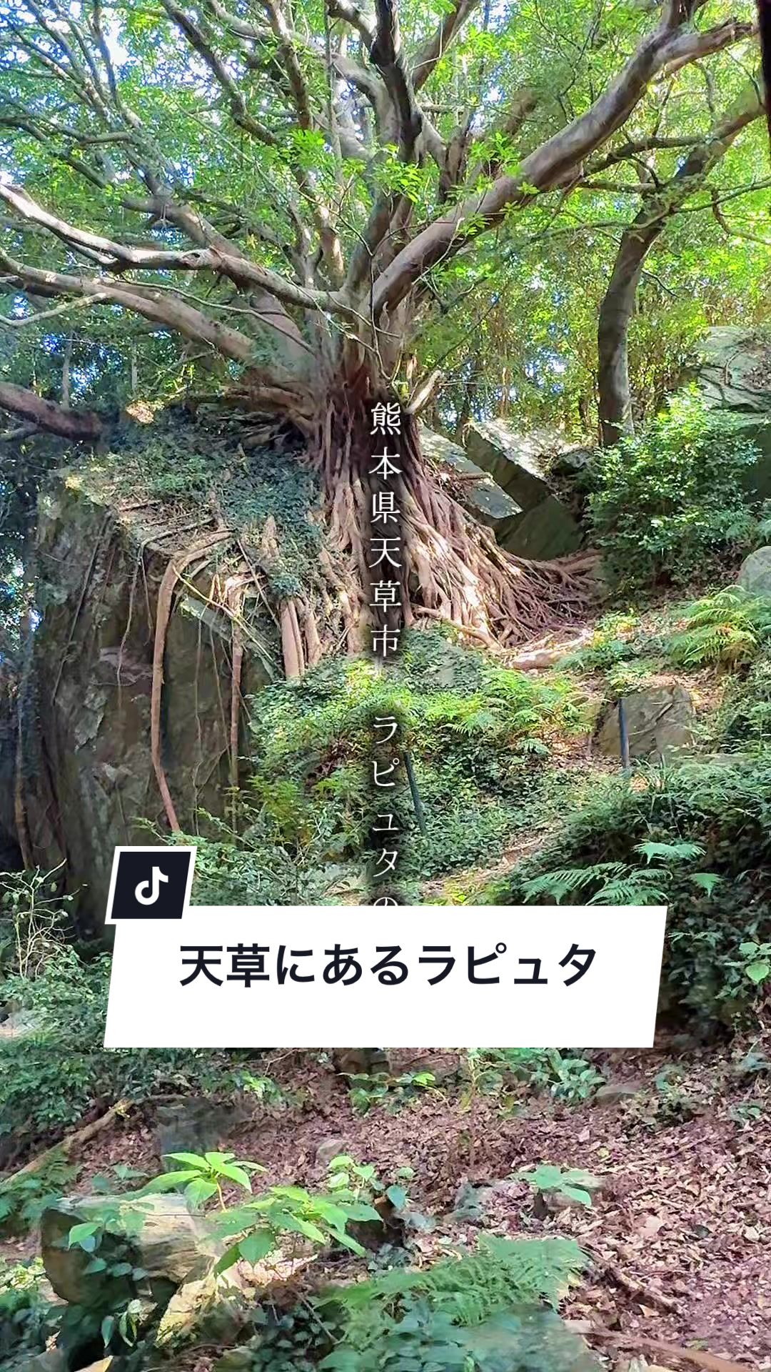 @俺たちならできる!?【九州イベント、観光⠀】