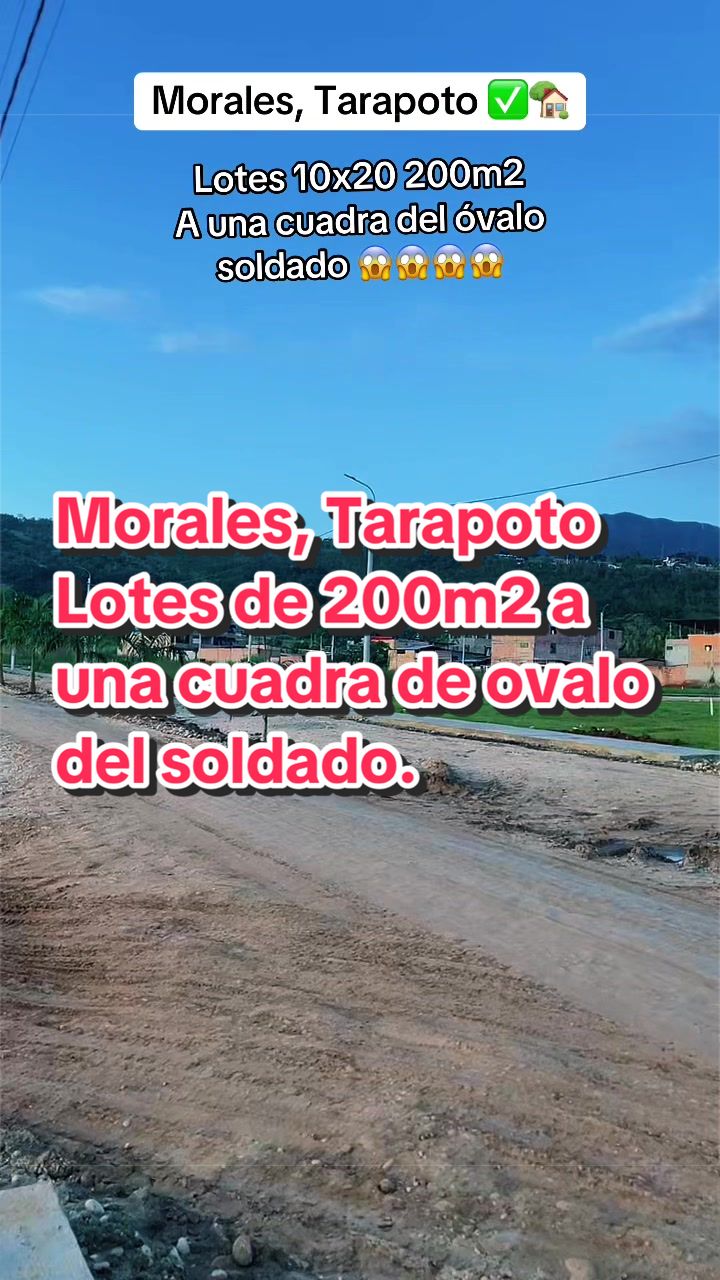 @apartamentcom