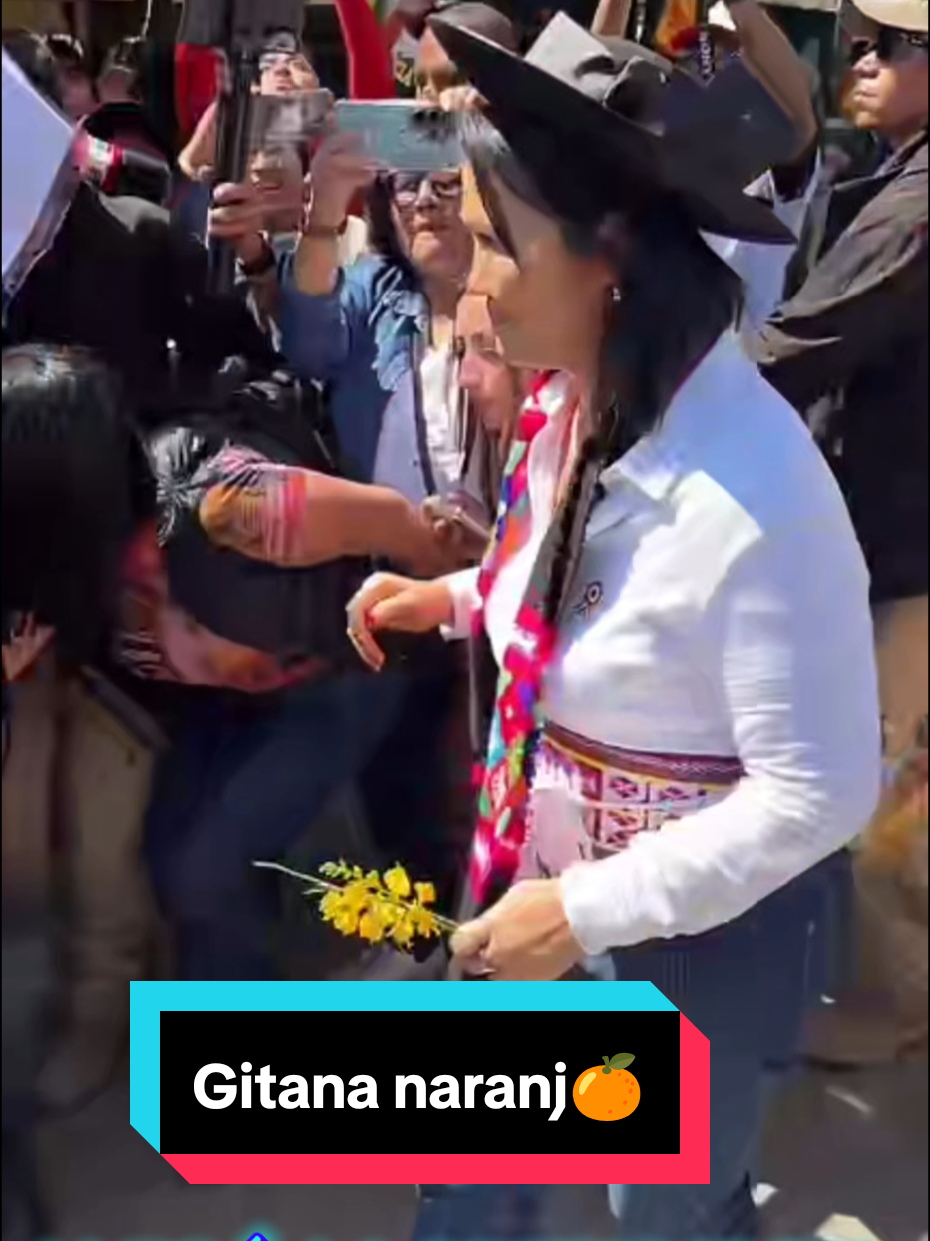@Gitana Naranj🍊