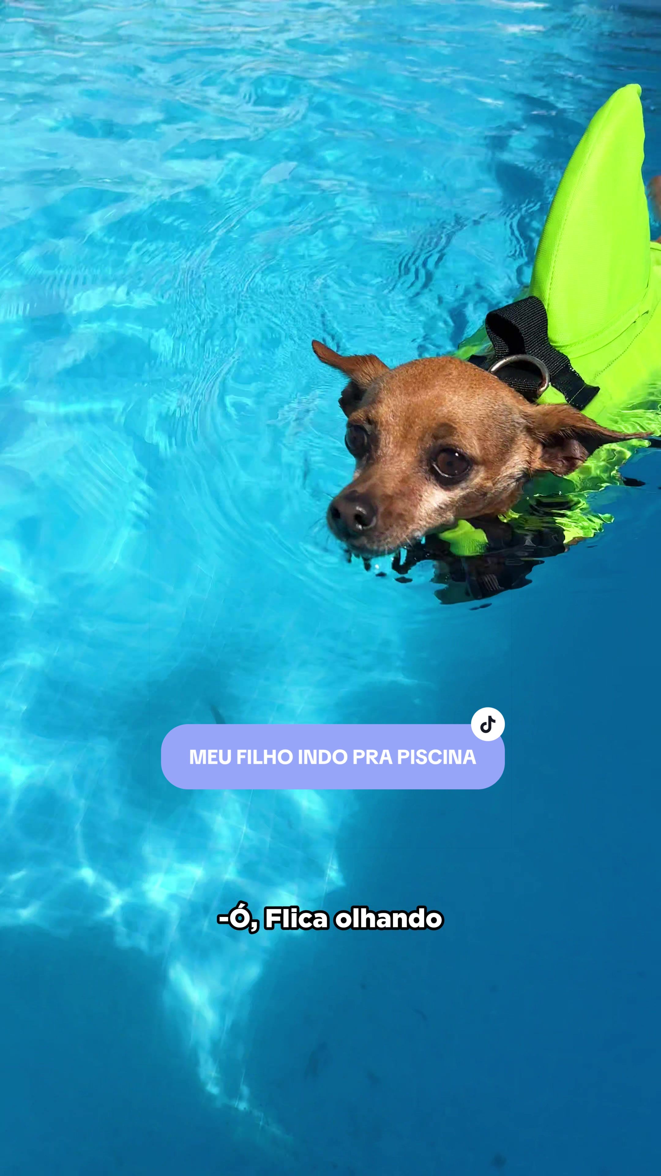 @Pequenos Pr&iacute;ncipes