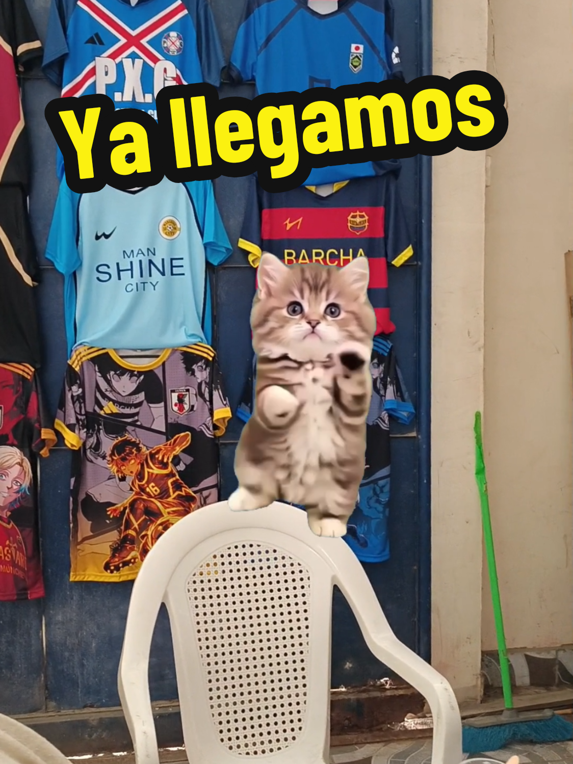 @Li Cosplay