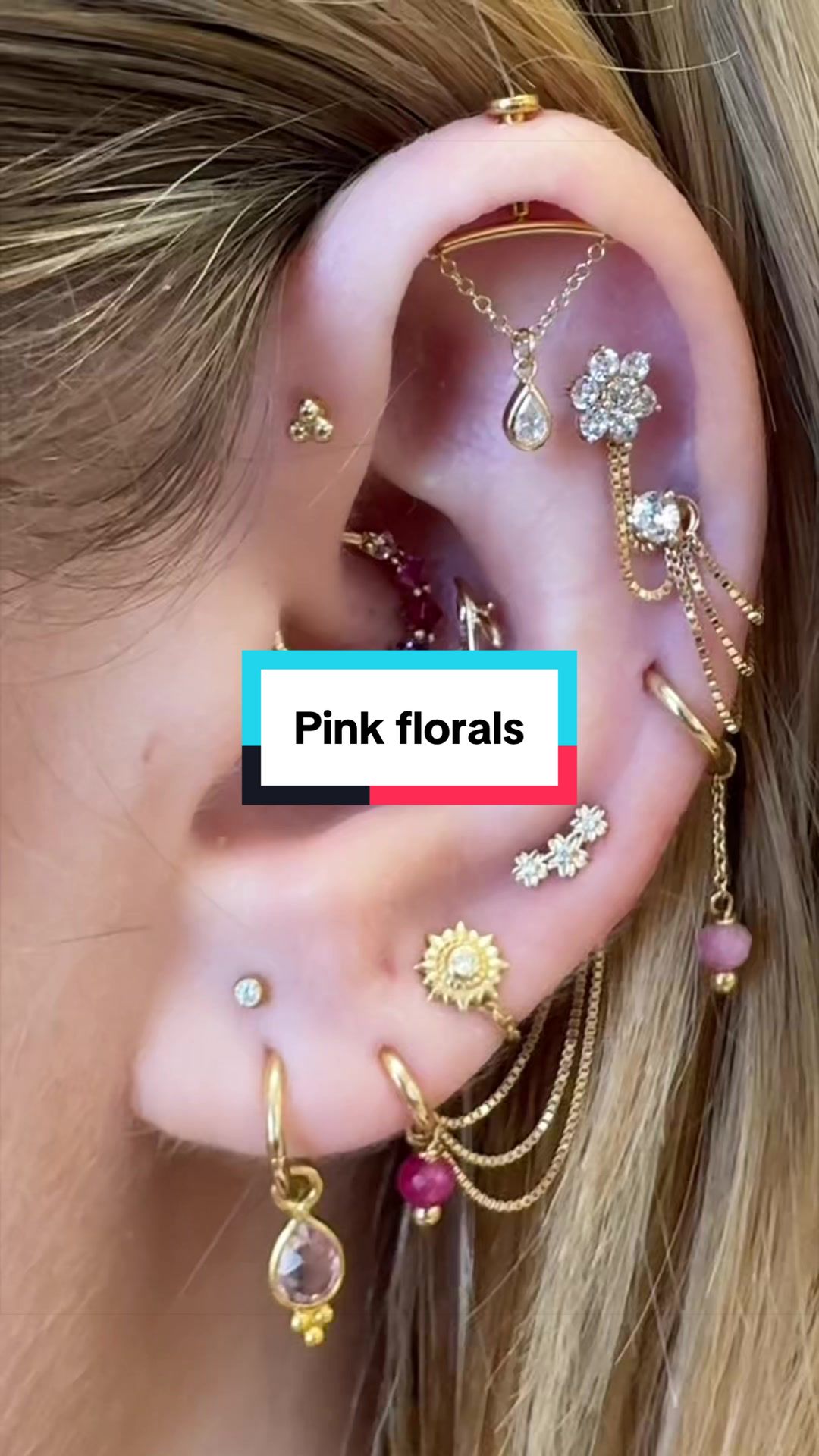 @The Curated Lobe
