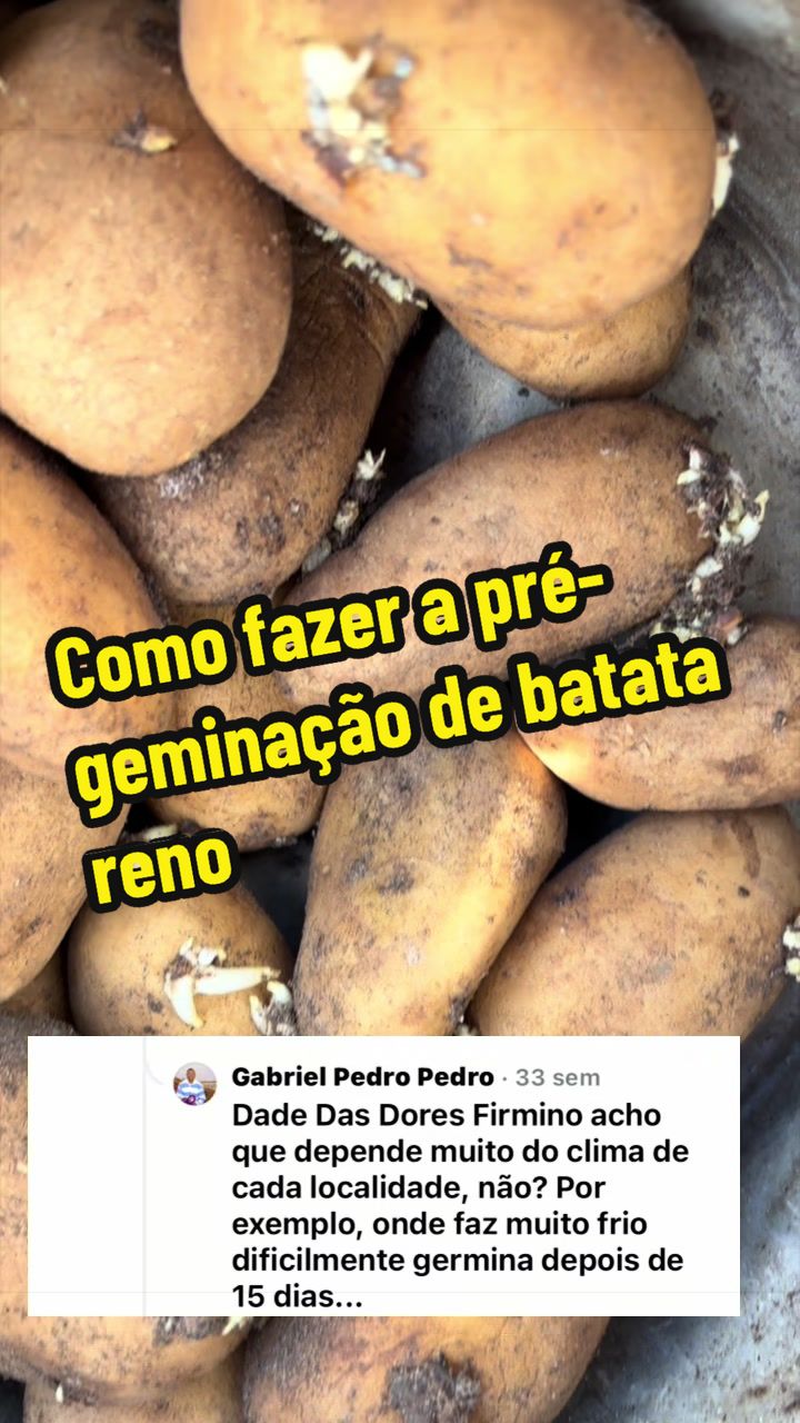 @Felicidade Gotine Firmino